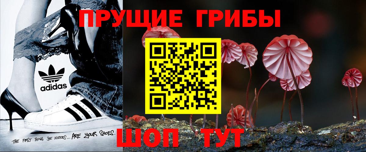 Нижнекамск  Галлюциногенные грибы мухоморы  Вход с VPN 